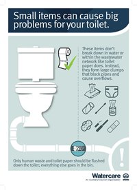 Poster that says: Small items can cause big problems for your toilet.