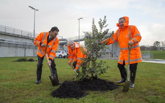 Watercare chief executive Raveen Jaduram, Auckland Mayor Phil Goff and Hon Shane Jones plant trees at the Māngere Wastewater Treatment Plant.