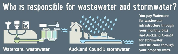 graphic showing who looks after stormwater and who looks after wastewater