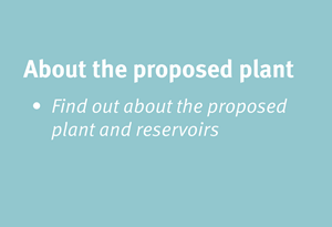 About the proposed plant